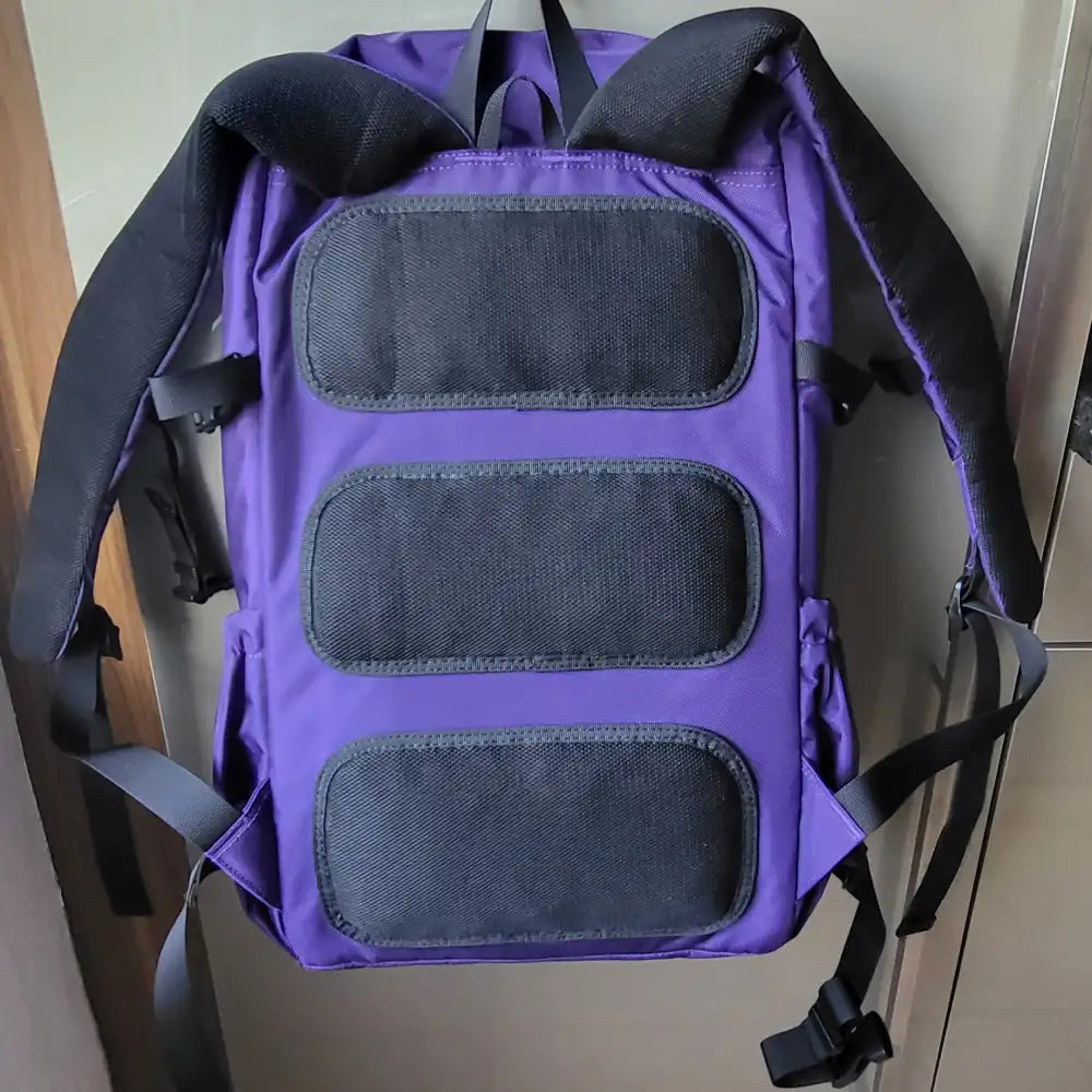 Rückseite vom lila farbenem Rucksack mit Polsterung und Schultergurten